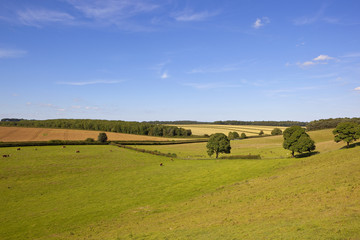 english landscape