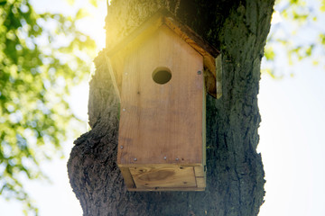 Bird house hanging from the tree with the entrance hole in the shape of a circle