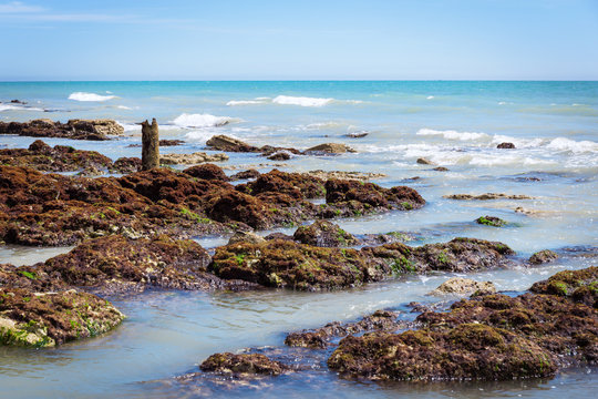 Low tide at the English Channel near Brighton, Great Britain