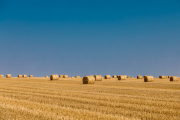 Fototapeta premium a stack of hay. Haystacks.Farming