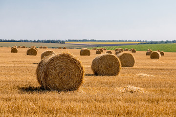 Fototapeta na wymiar a stack of hay. Haystacks.Farming