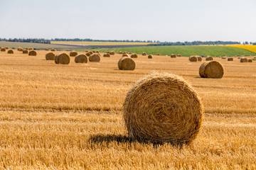 Plakat a stack of hay. Haystacks.Farming