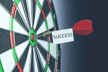 success text on  dart on bullseye of a dart board