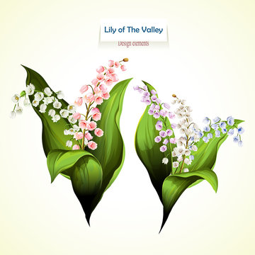 Lily of the Valley. Vector illustration of two bouquet. Can be used in personal design, invitations appearance, greeting card, etc. Stock.