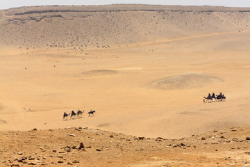 Desert of Giza