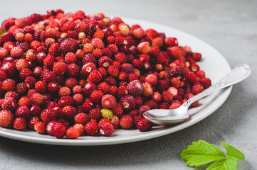Wild strawberries in a grey ceramic plate over grey concrete background