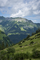 Alpen, Allgäu, Natur, Wandern, Hochvogel, Nebelhorn, Klettersteig, klettern, bergsteigen