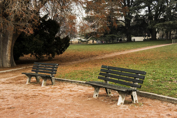 Paysage automnal dans parc de la Tête d'Or avec bancs à Lyon