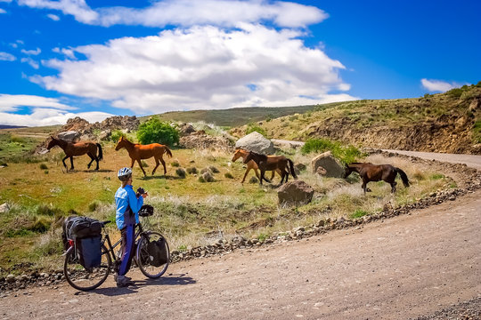 Cyclist encounter with wild horses in Patagonia