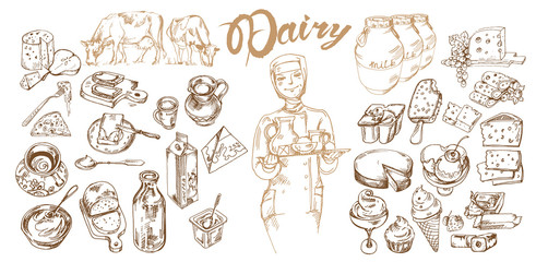 Fototapeta premium Hand Drawn Dairy Products Set