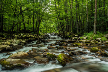 Flowing Stream Smoky Mountain National Park
