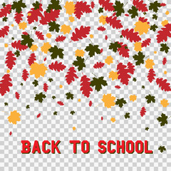 Back to school and autumn leaves isolated on transparent background. Vector illustration of colorful scattered dust. For sale gift card, certificate, voucher