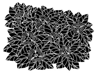 Doodle floral pattern in black and white. Page for coloring book: very interesting and relaxing job for children and adults. Zentangle drawing. Flower carpet in magic garden