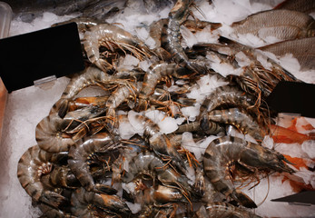 Fresh shrimps in fish supermarket