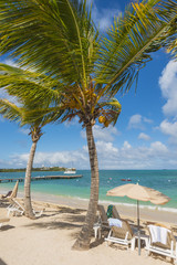 Beach vacation background scenic landscape at the sea with palm trees and blue teal water