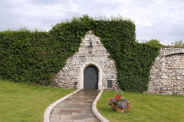 Fototapeta na wymiar a metal door in a stone wall overgrown with bushes