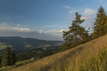 Evening near Slachovky hill over sheep chalet