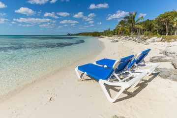 Beach vacation background scenic landscape at the sea with palm trees and blue teal water