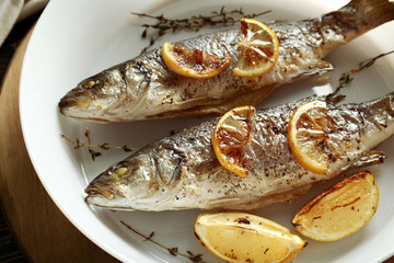 Delicious baked sea bass fish in white plate