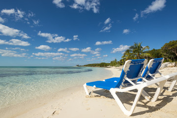 Beach vacation background scenic landscape at the sea with palm trees and blue teal water