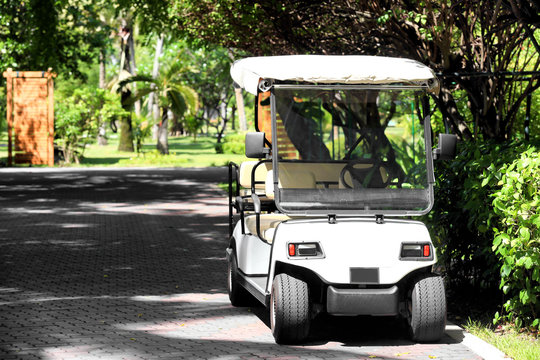 Modern buggy at tropical resort