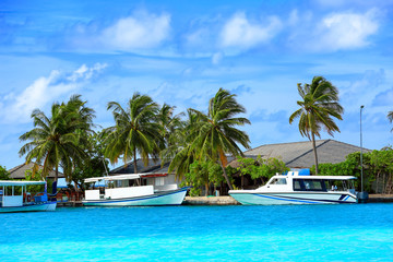 Naklejka premium Berth with modern boats at tropical resort