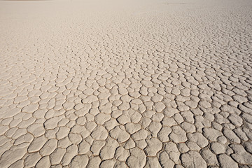 Cracked Lake Bed 