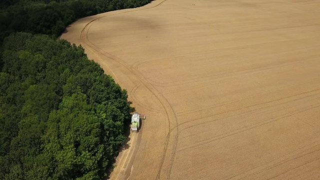 Aerial view: Combine harvesting wheat in the organic field. Beautiful agriculture area