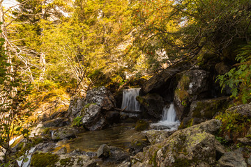 fraicheur d'automne