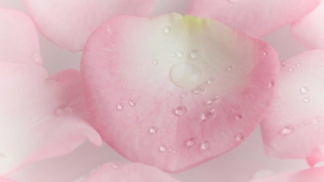 Rose petals in bowl