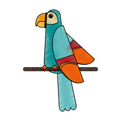 Obraz premium Exotic natural bird