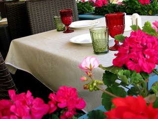 Decorative geranium on the terrace of the summer cafe.