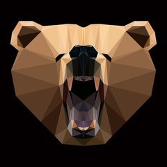 Bear face that roars. Low-poly style
