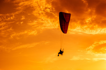 Paramotor flying on the sky at sunset.Paramotor silhouette on the orange sky