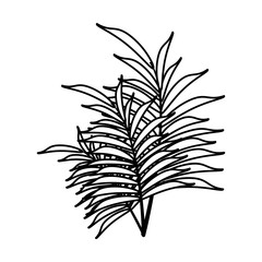 delicate flower paint image