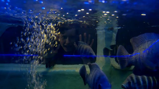 Boy and girl drowned underwater. Car auto accident underwater drowned people