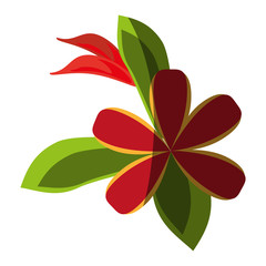 delicate flower icon image