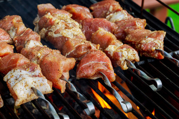 grilled caucasus barbecue in smoke