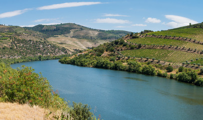 Fototapeta premium View of Douro Valley, Portugal.