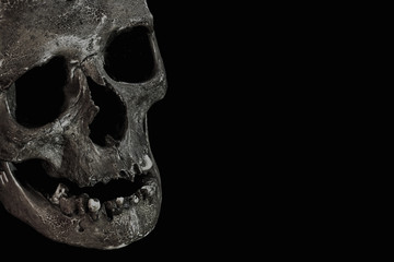 Skull on Black Background  - Left