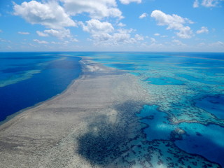 Great barrier reef coral bleaching