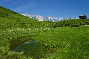 Fototapeta na wymiar 八方尾根の麓にある湿原から望む山々と小さな池 2