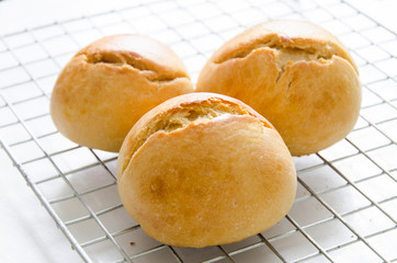 Homemade buns on cooking rack ready to eating.Delicious bakery