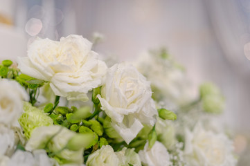 closeup droplet on white rose flower  / wedding flower decoration