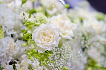 Obraz na płótnie Canvas closeup droplet on white rose flower / wedding flower decoration