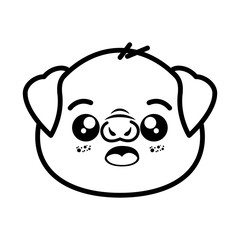 isolated cute pig face