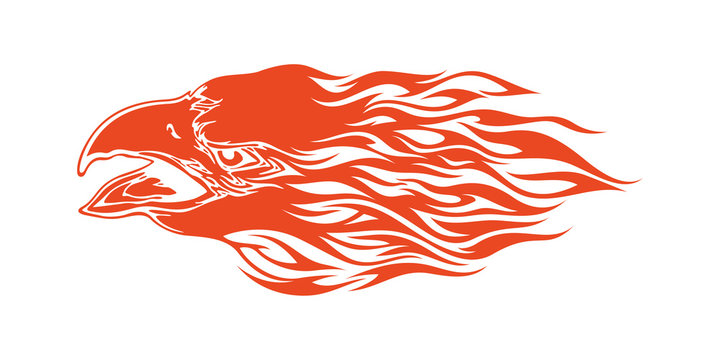 Eagle Head Flame Vector Template Design