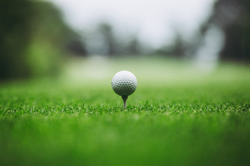 ゴルフボール