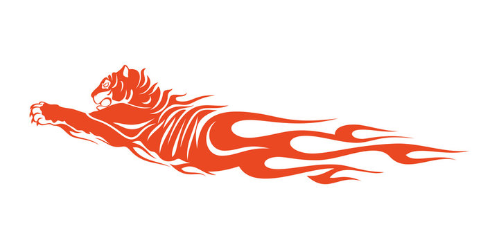 Tiger Head Flame Vector Design
