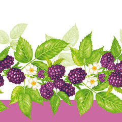 Seamless floral pattern with blackberry.